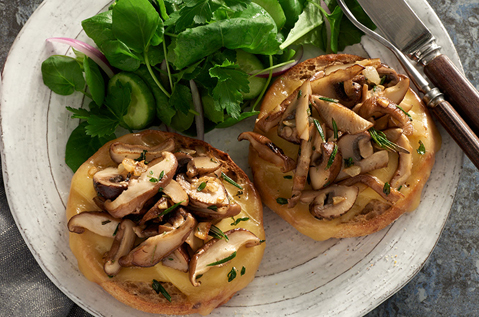 SHIITAKE MUSHROOM & HERB PIZZA